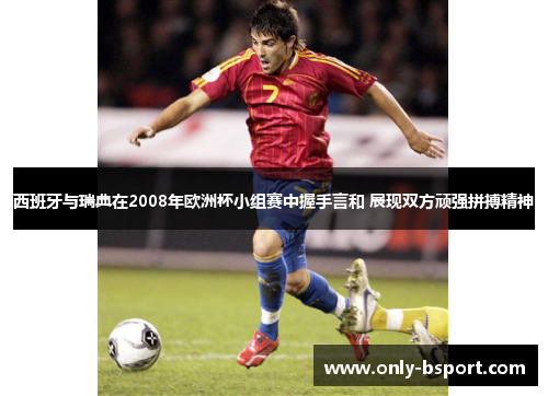 西班牙与瑞典在2008年欧洲杯小组赛中握手言和 展现双方顽强拼搏精神